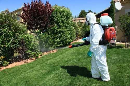 Pest Control Service in Andheri | Same-Day Pest Control at Your Doorstep