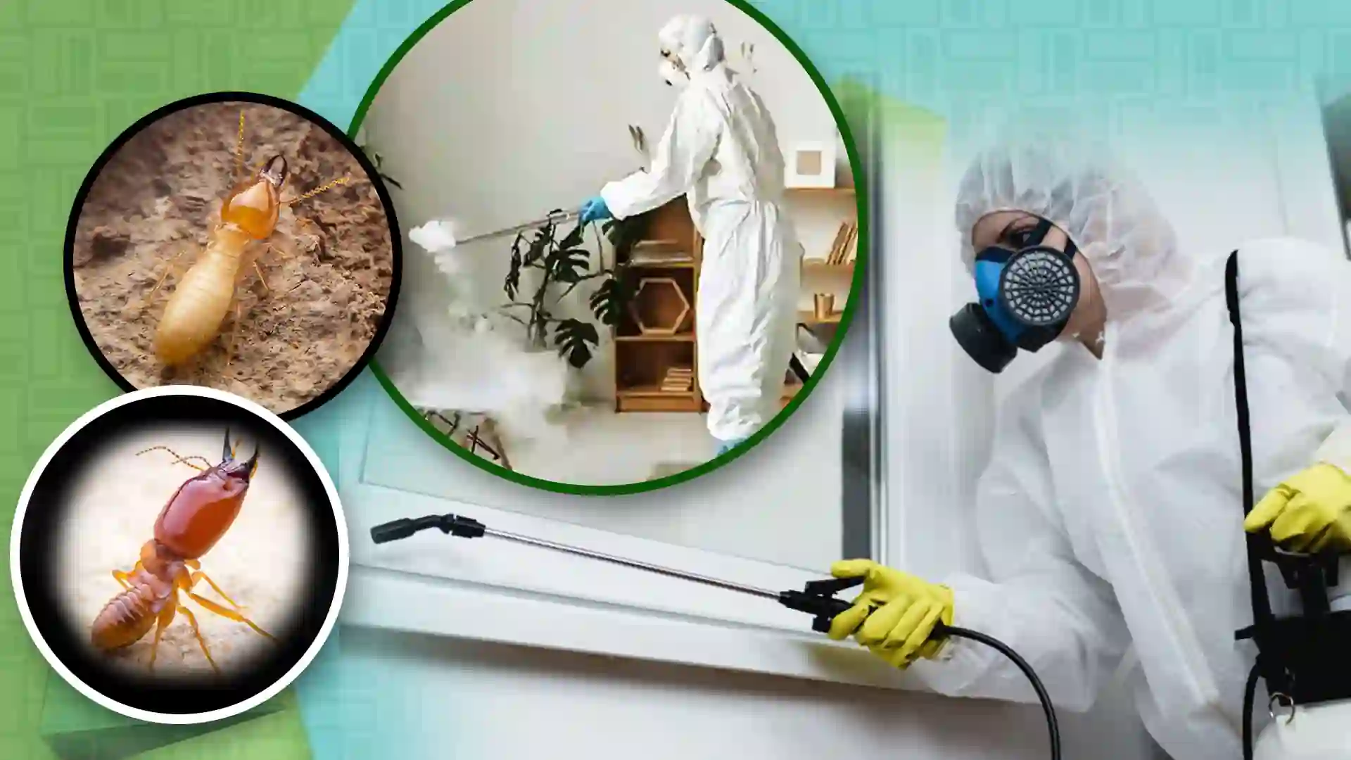 Termite Treatment in Borivali | Same-Day Anti-Termite Pest Control