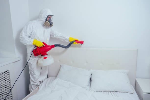 Bed Bug Control Service in Dadar | Same-Day Bed Bug Treatment