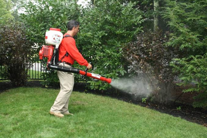 Mosquito Control Service in Kandivali | Same-Day Mosquito Treatment