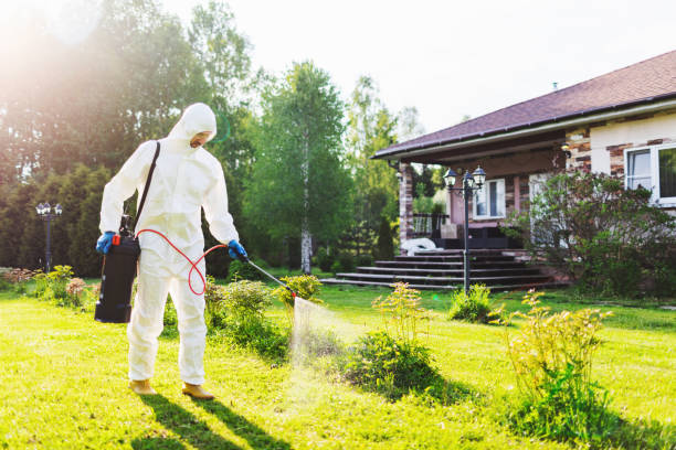 Residential Pest Control in Malad | Same-Day Home Pest Control